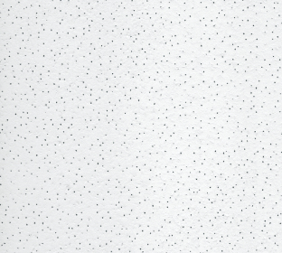 파인포인트 네오