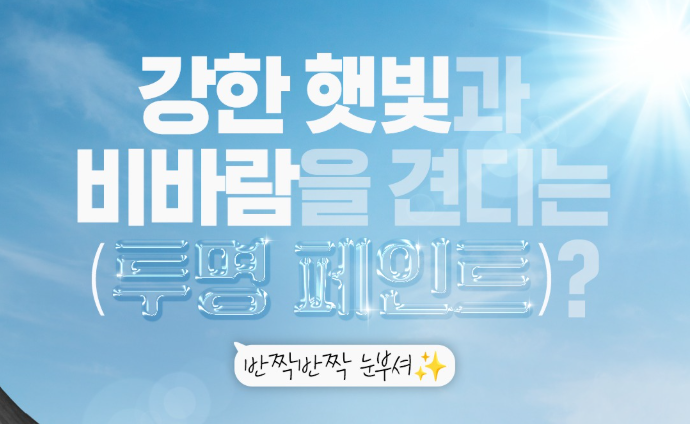 자동차 투명 코팅